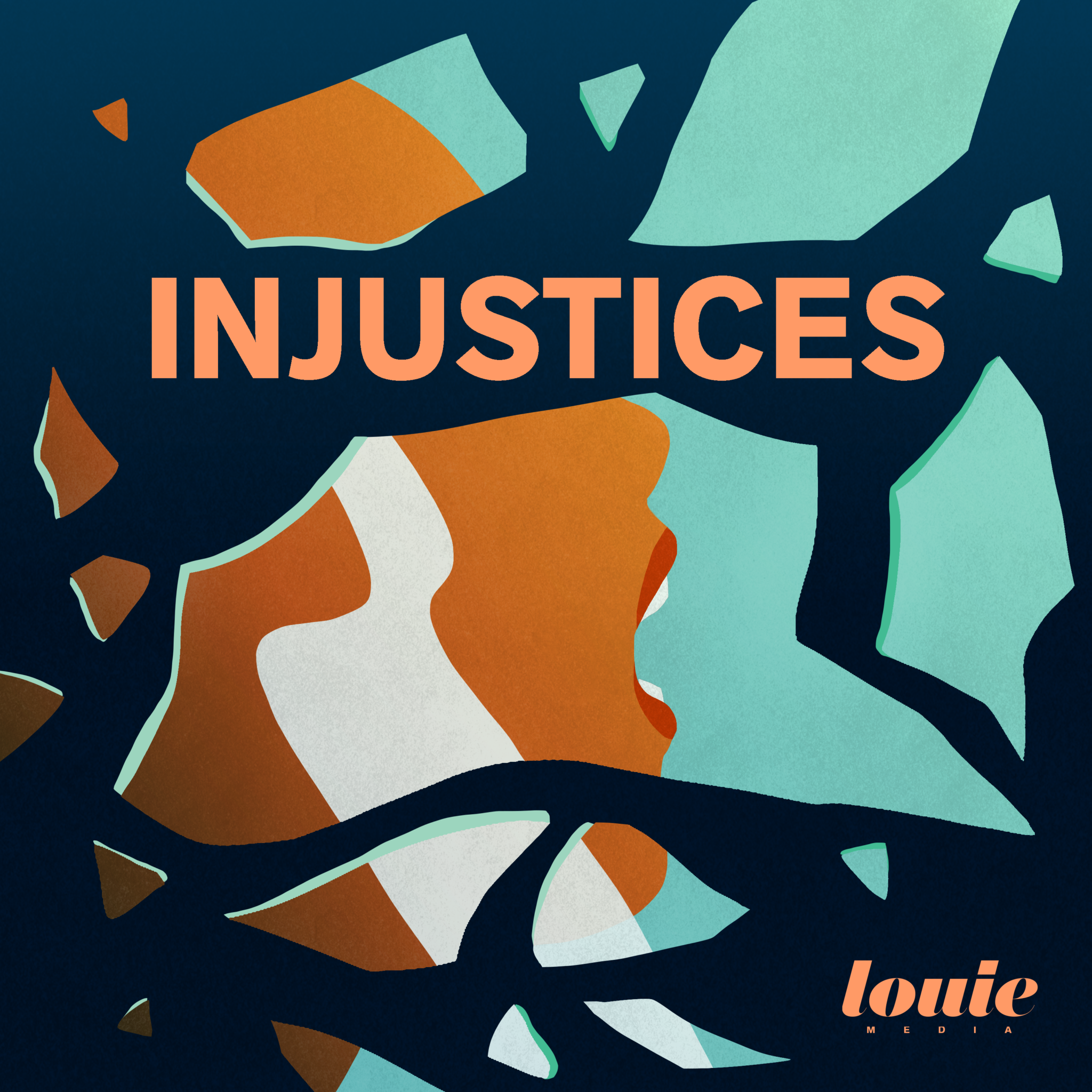 Vignette Injustices