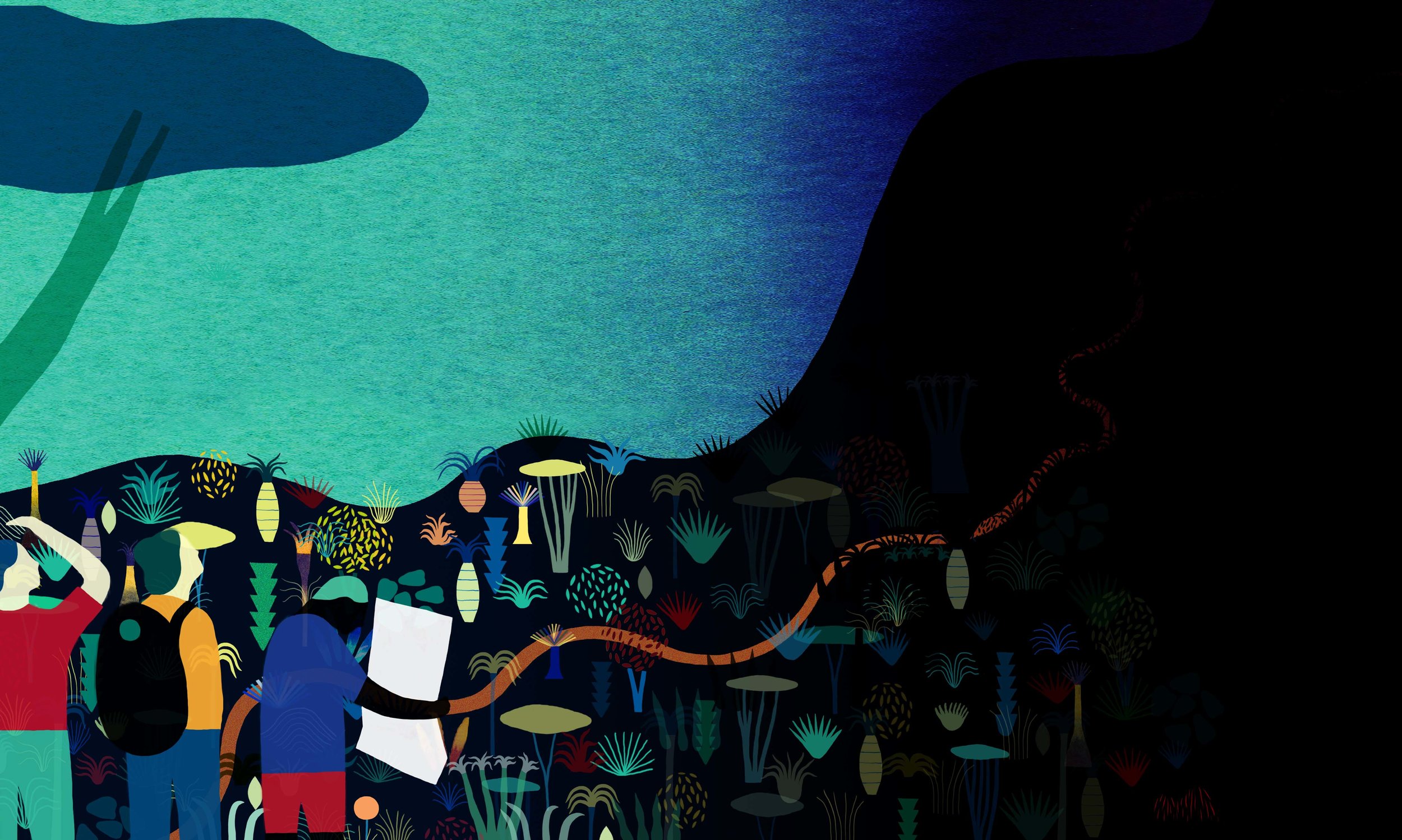 Illustration : Jean Mallard