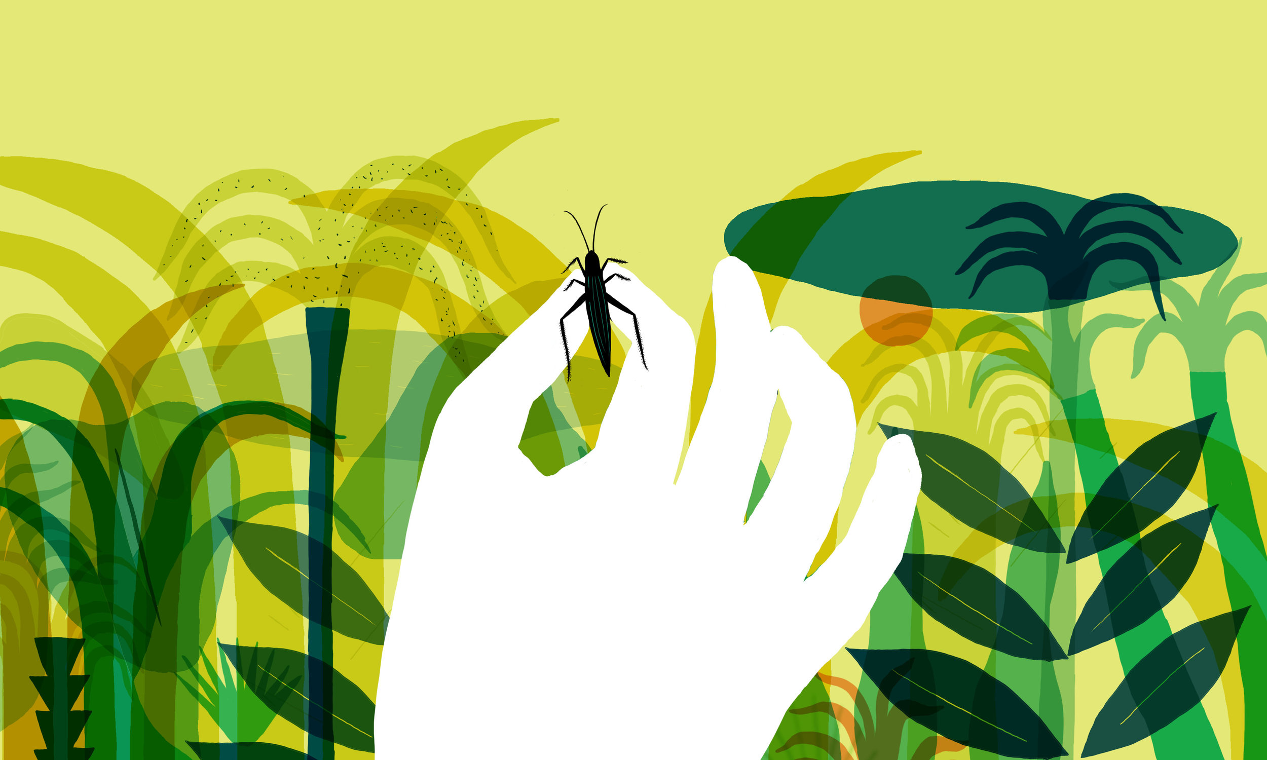 Illustration : Jean Mallard